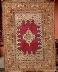 Hal� �e�itlerimiz